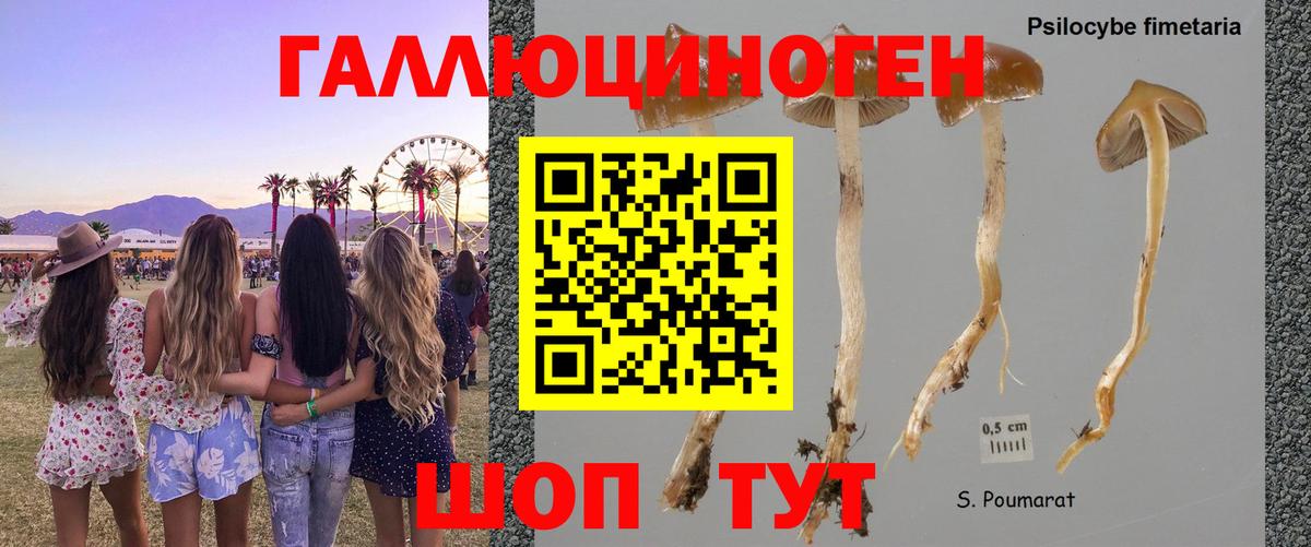Псилоцибиновые грибы Magic Shrooms  Вход с VPN  Каспийск 
